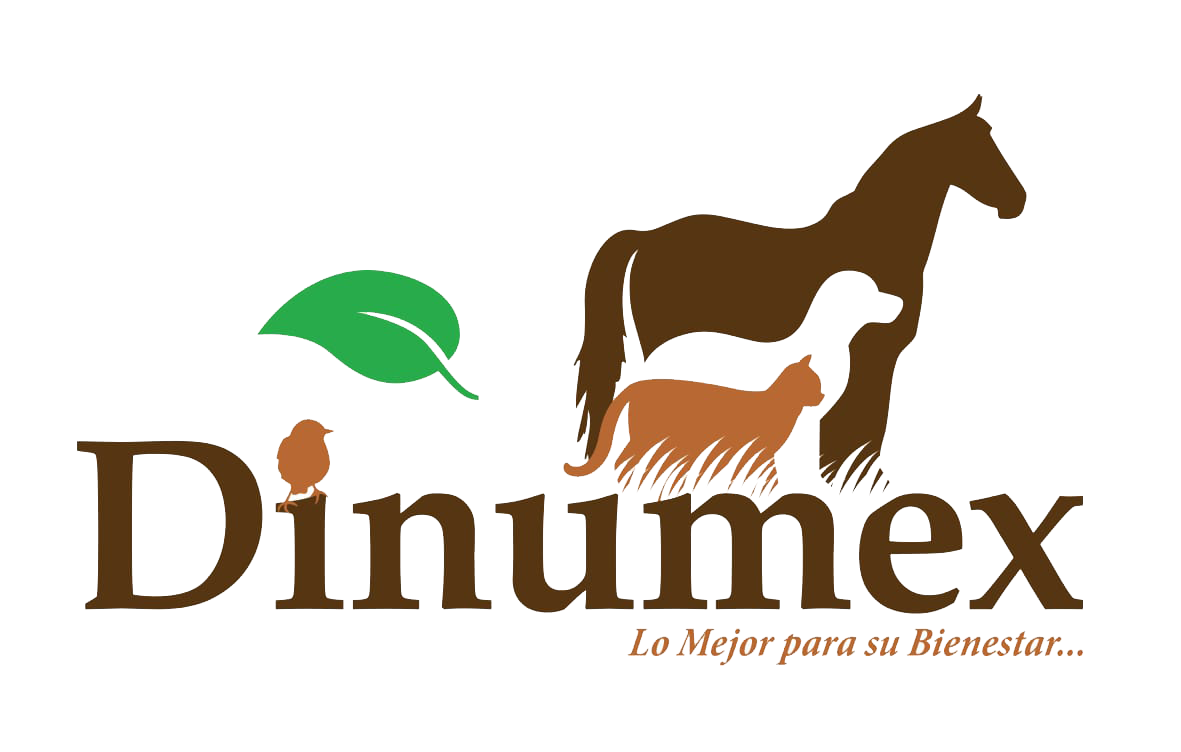 DinumexLogo