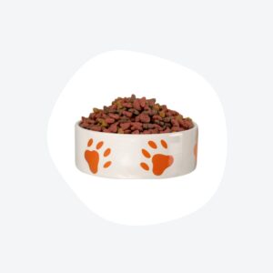 Alimentos para Perro